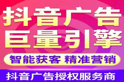 竞价托管与SEO结合的案例分析